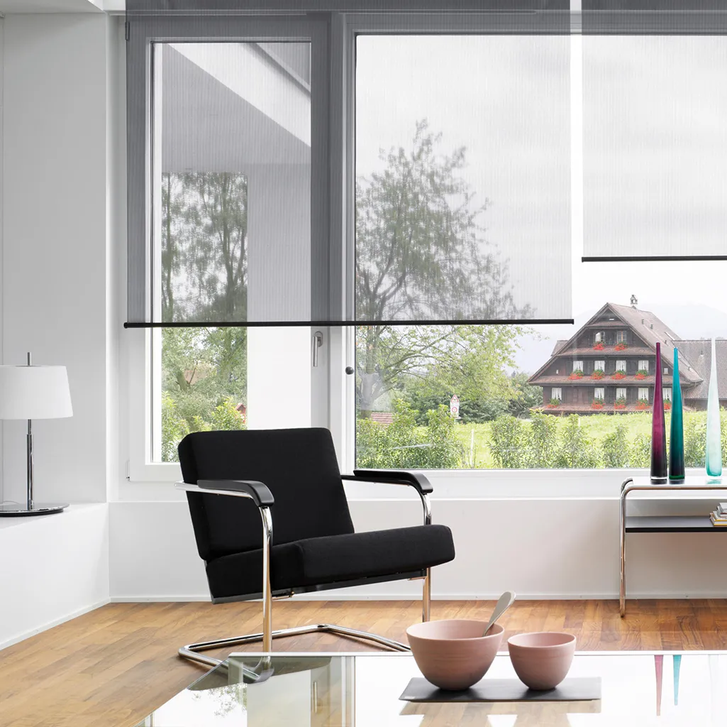 Roller Screen 16%